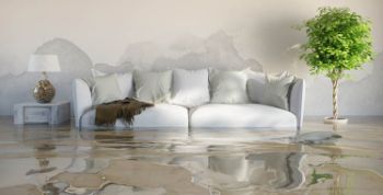 Water Damage Restoration
